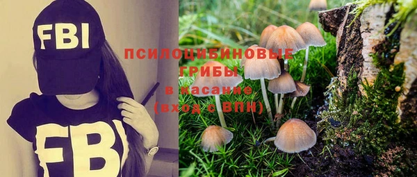 шишки Кукмор